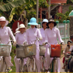 Die Freiheit der Straße: Warum Vietnam am besten mit dem Fahrrad erkundet werden sollte